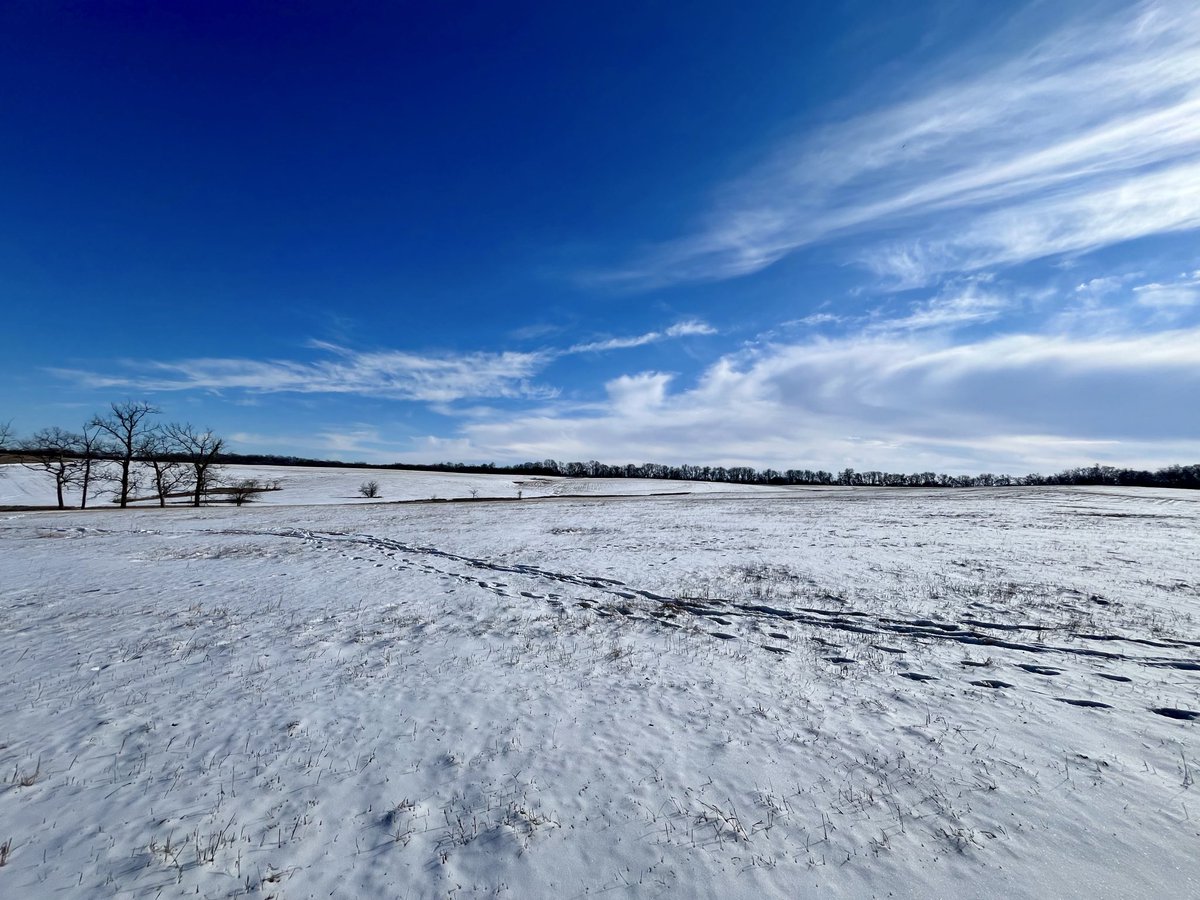 kmabecky's tweet photo. Posting this snowy tundra as it’s a cool front here today. Just 85 degrees https://t.co/eVAOKSv0pp