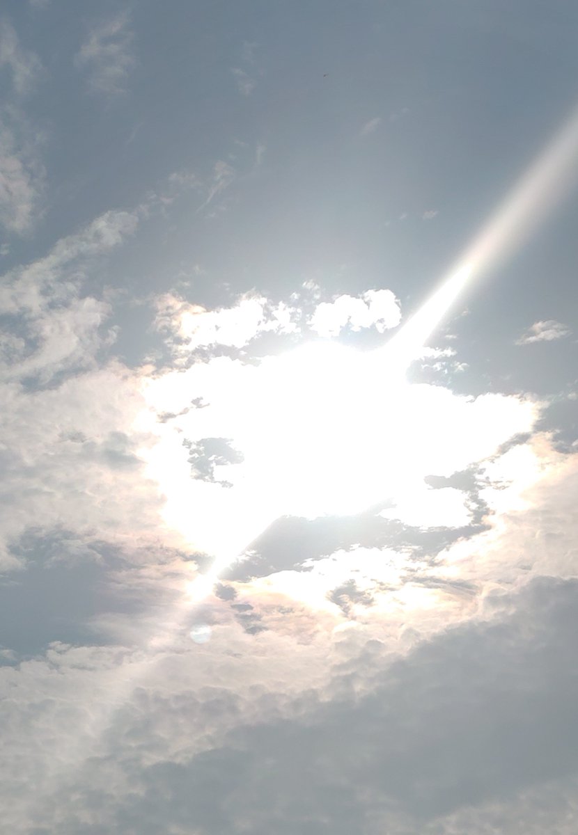 red511min's tweet photo. 午前7時すぎ

#イマソラ

#イマクモ

#太陽☀ https://t.co/LxPATsFb8v