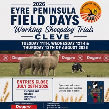 EPFieldDays's tweet photo. 🐑 Working Sheepdog Trials return to the EP Field Days for the first time since the 1980s!

Watch Australia’s top dogs and handlers compete in the inaugural Dogpro 3 Sheep Arena Trial, with local competitors also taking on the nation’s best.

Don’t miss this Field Days highlight! https://t.co/VyUNEfeDJy