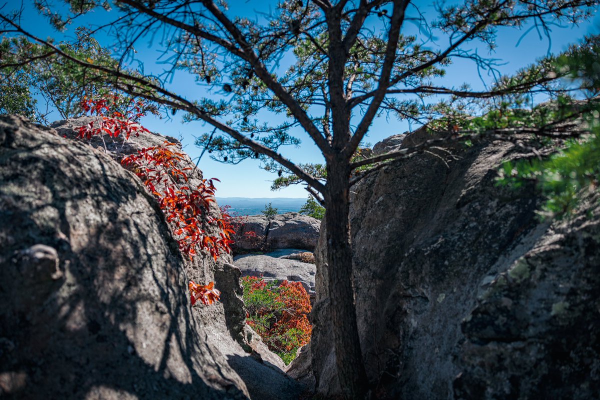 RichM_BTS's tweet photo. One of my favorite sites to explore and take photos.  Always a great event when Cherokee Rock Village is the host.  Who's been up there? https://t.co/MNtaAKNBM3