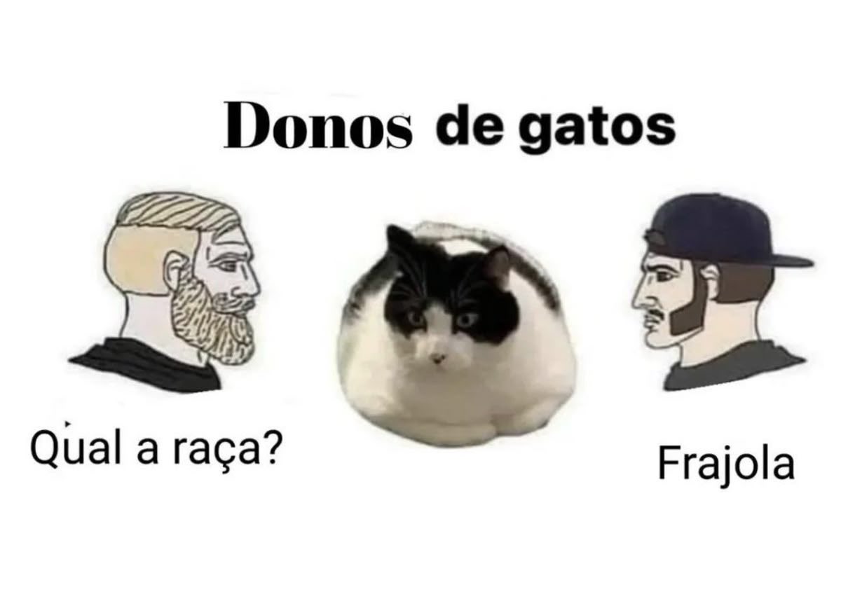 shitpostverdade's tweet photo. https://t.co/7XYK0J0r9c