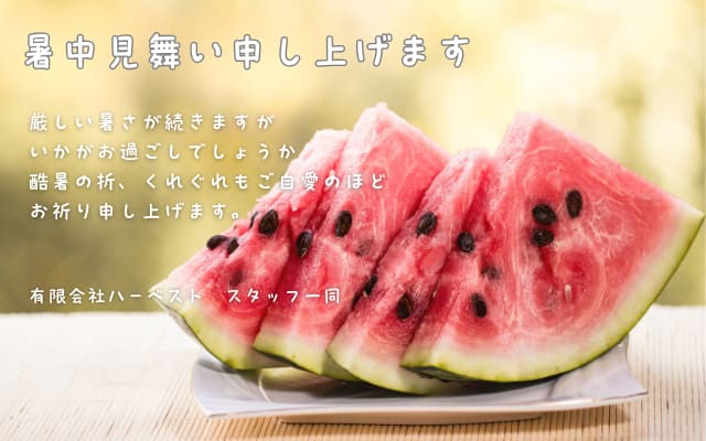 relieve_gioie's tweet photo. 『今年は結構、デリケート悩み続いてる…』
そんな方にも好評の、ミニパック増量祭は今月末まで

8,400円ごとにミニパック2ケもれなく同封
(☆メール便特典＋8月イベント分)

有限会社ハーベスト【公式】
https://t.co/yQtvEdwkyP

#ジョイエ
#ジョイエCA https://t.co/jPN90MmSaa