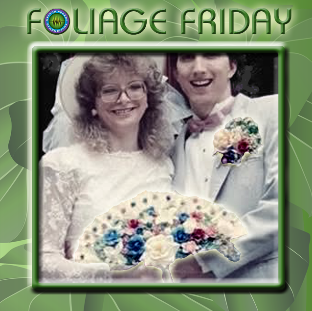 SkinnyRockerPro's tweet photo. In honor of the 38th wedding anniversary of The Skinny Rocker &amp; his Mrs., we're highlighting some "fancy foliage" for this week's #FoliageFriday! 💐 And, this lovely couple DEFINITELY deserved some beautiful flowers...even though it was a #SweetheartsSunday that day! https://t.co/nzTNUAAXLq