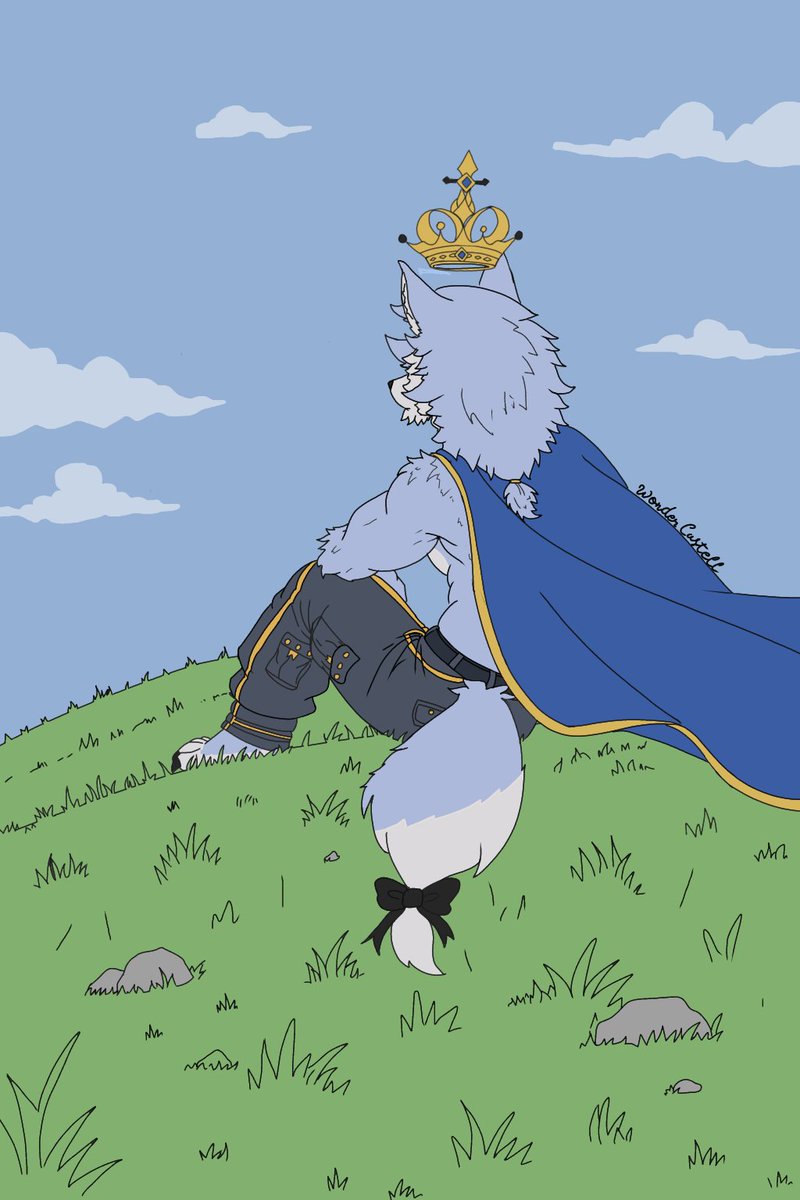 WonderCastell tweet picture