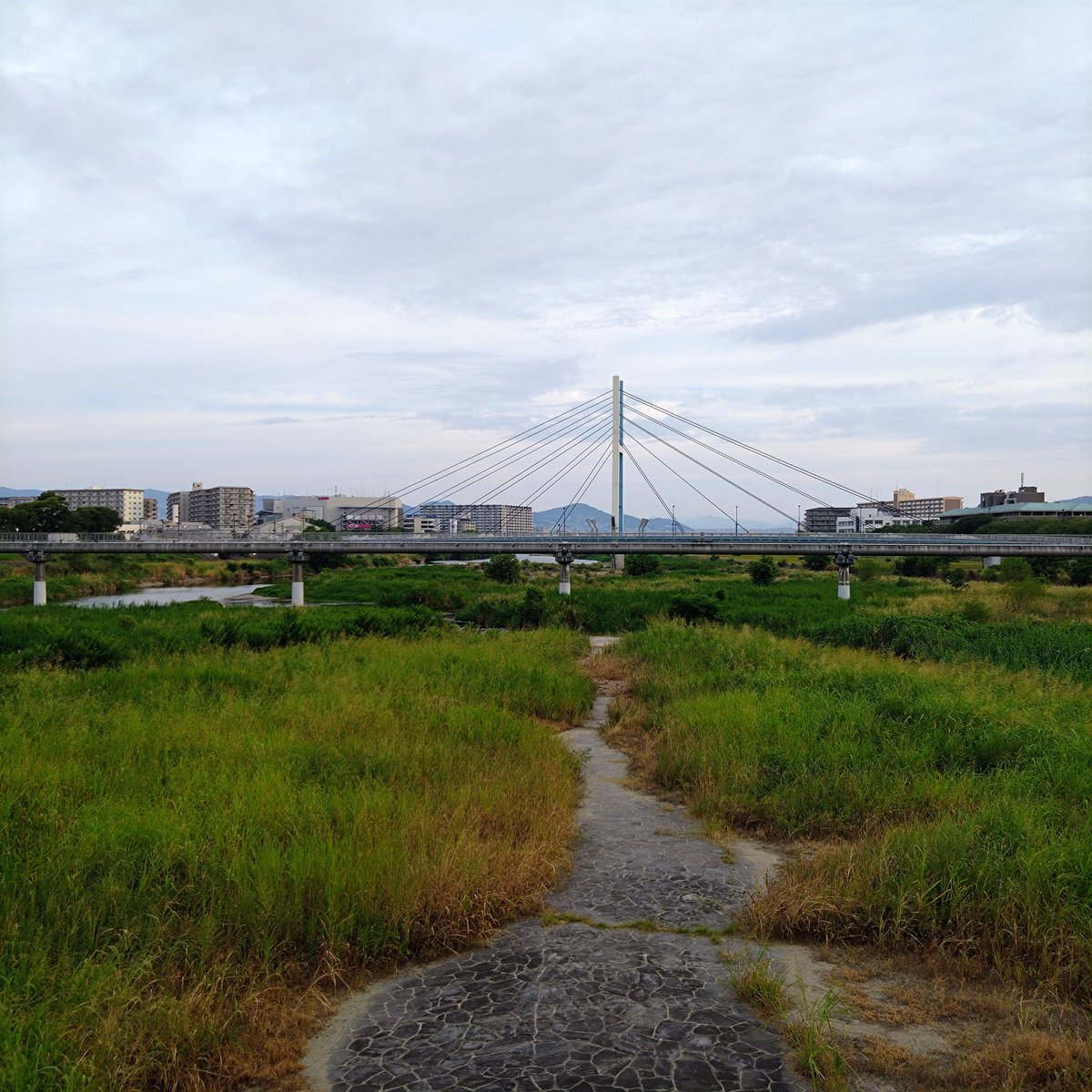 Tokucyan2's tweet photo. もう8月か〜 今朝は🍃風が気持ちいい
#猪名川 #藻川 #walking #cycling #河川敷 #水道橋 #ラジオ体操 #六甲山 #箕面山麓 #五月山 #伊丹 #園田 #阪急園田駅 #農業公園 #神津大橋 #生駒山麓 #園田競馬場 #甲山 https://t.co/hqHlrxvswU