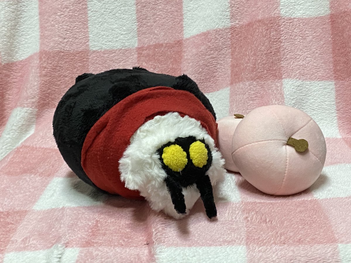 ZENDERST0RM's tweet photo. THEY GOT BUGBILLY IN REAL LIFE 🥹🥹🥹 https://t.co/zaUF9utgIg