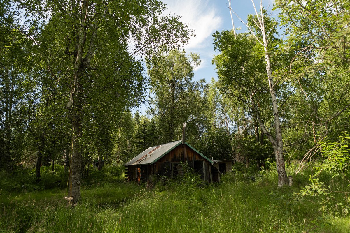 HighwayyChild's tweet photo. Cabin in the woods. https://t.co/XzfxhRRgbr