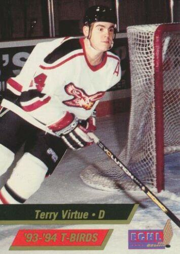 hockey_vintage's tweet photo. #WaybackWednesday Happy 56th birthday Terry Virtue! Here's Terry during his time as Alternate Captain of the Wheeling Thunderbirds in the ECHL (1993/94) https://t.co/i7G89iVgDn