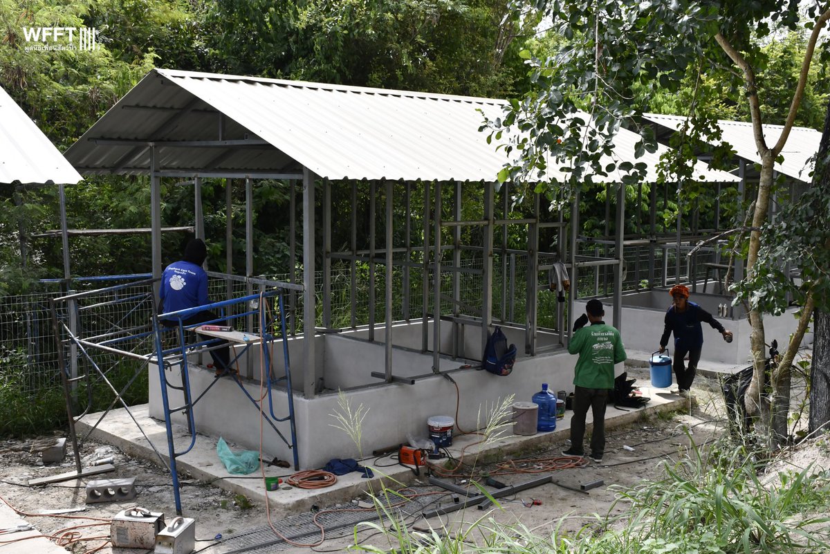 WFFThailand's tweet photo. These new spaces will be a lifeline for so many #animals. When sick and injured #wild animals come to WFFT, they need the time and space to recover and regain their strength. Our amazing supporters are making this happen, and we cannot thank you enough! 💚 https://t.co/RluOZmJpLG