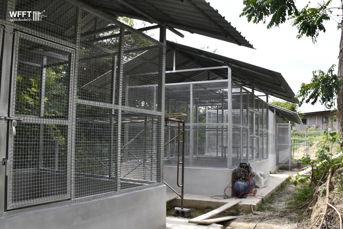 WFFThailand's tweet photo. These new spaces will be a lifeline for so many #animals. When sick and injured #wild animals come to WFFT, they need the time and space to recover and regain their strength. Our amazing supporters are making this happen, and we cannot thank you enough! 💚 https://t.co/RluOZmJpLG