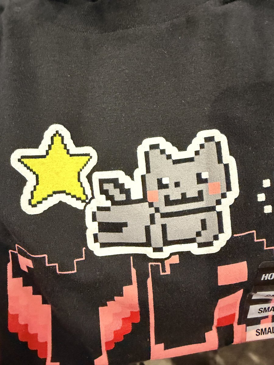 doing my closing shift, bro why is nyan cat naked….?