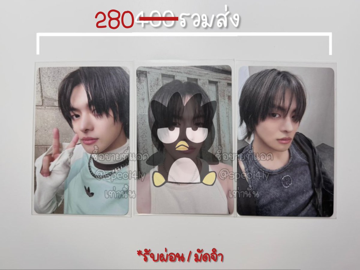 speci4ly's tweet photo. wts / พร้อมส่ง

รับผ่อน / มัดจำ 📋

♡ การ์ดสุ่มลีโอ อัลบั้ม LEO come closer

— เหมา 2ใบ 280รวมส่ง
— แยกใบละ 130
📮ส่งเหมา 40 (ไม่บวกเพิ่ม)

🛒สนใจสอบถามดูเพิ่มเติม mention / dm 
#ตลาดนัดALD1 #ตลาดนัดALPHADRIVEONE
#ตลาดนัดBOYS2PLANET https://t.co/9IMKxwq665