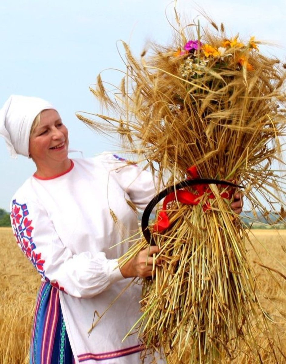 Nataliya tweet media