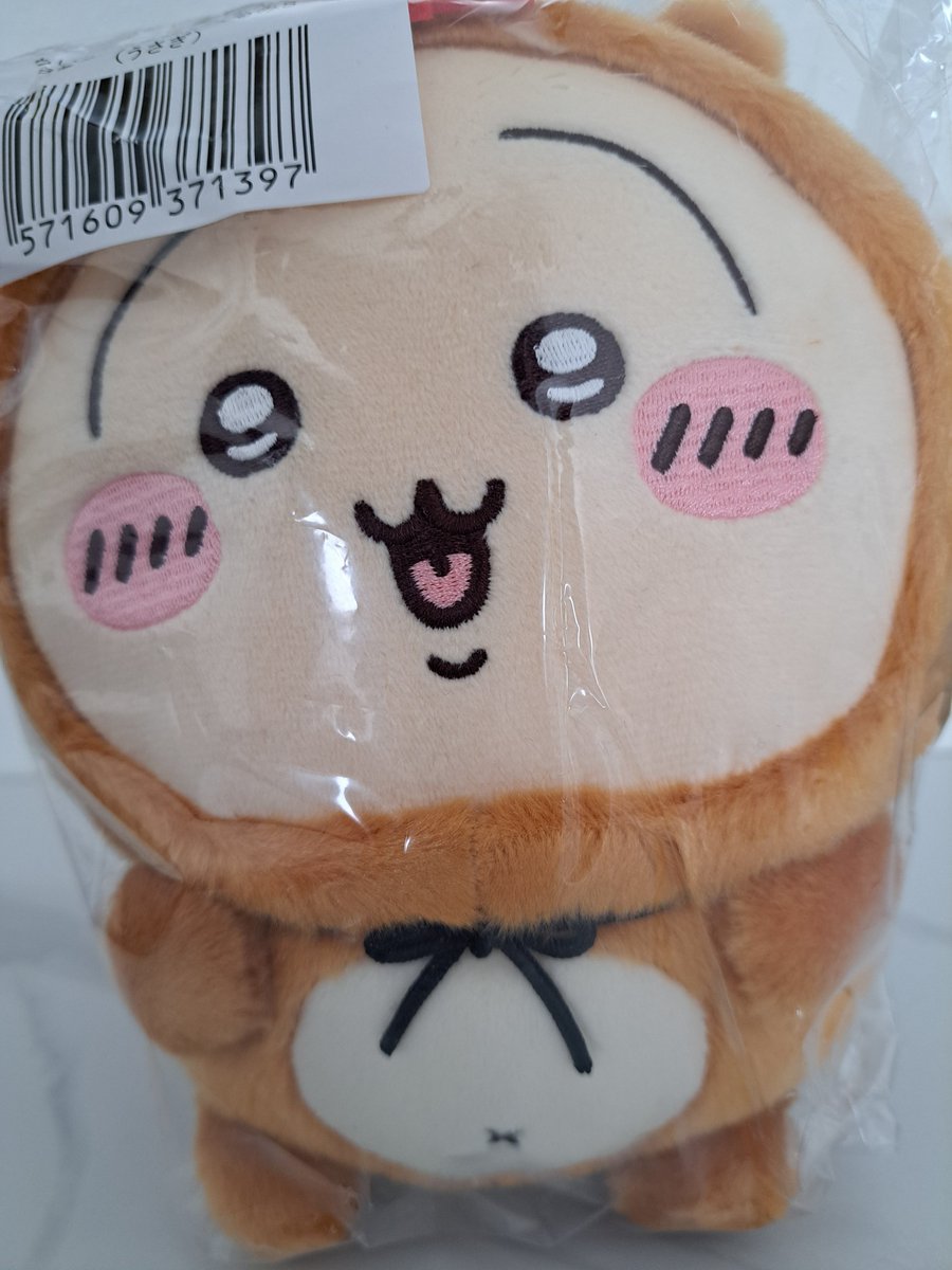 8osamu8's tweet photo. プライズの出来じゃないくらいに
くそカワイイ(　˙▿˙　)
大歓喜(　˙▿˙　)
そして昨日お出迎えした着ぐるみたぬきはもっとカワイイ(　˙▿˙　) https://t.co/4X00LhRtr0
