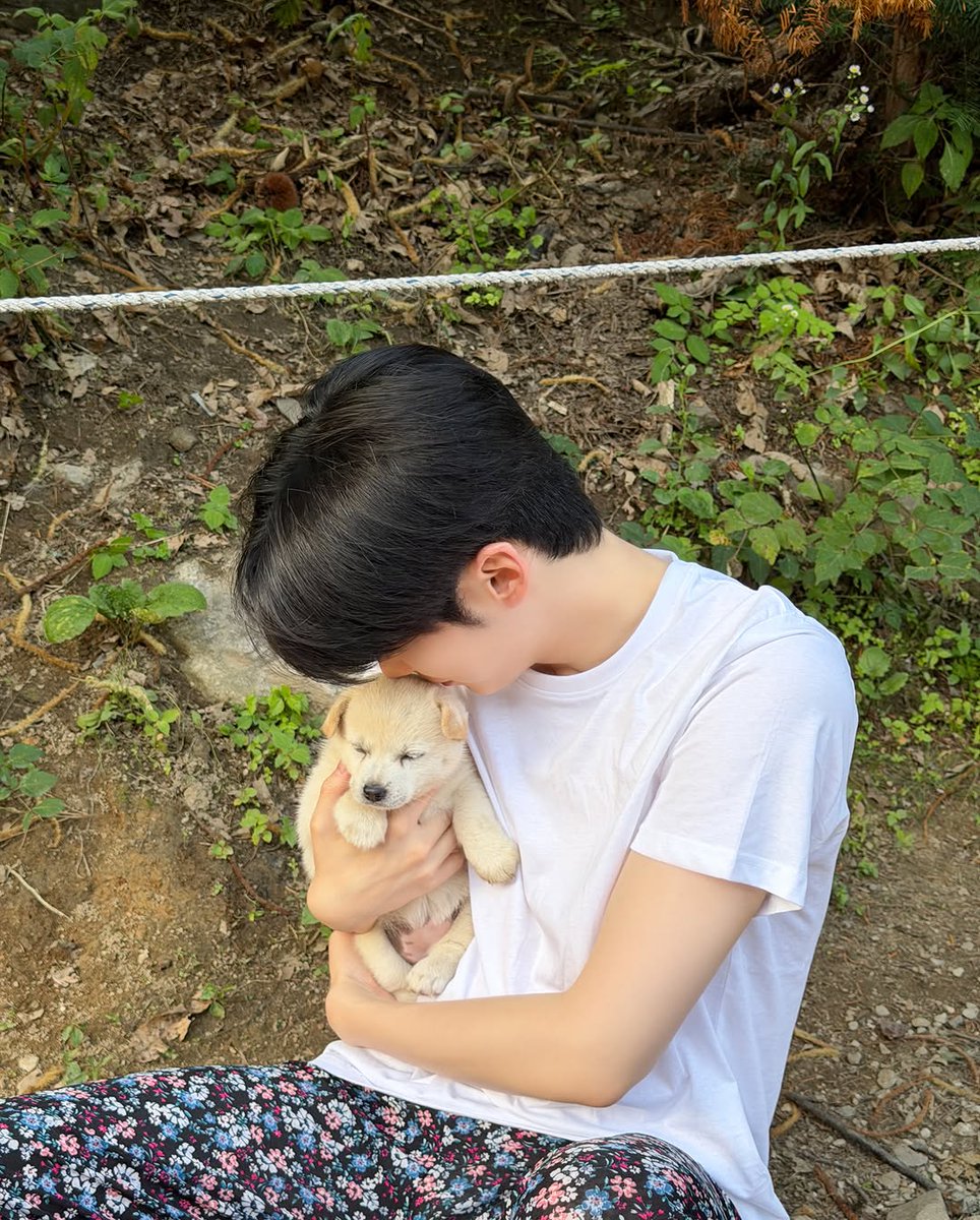 hamslighting's tweet photo. 강아지가 되어야겠다는 결심 https://t.co/SCoTCSZYkn