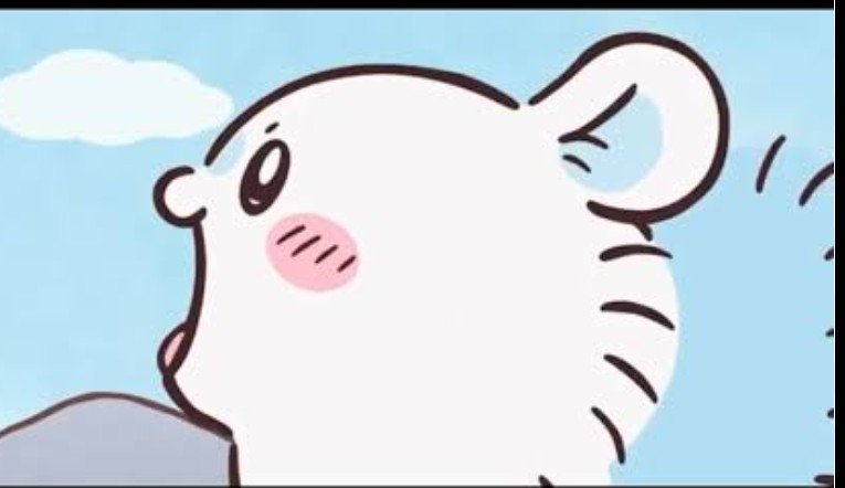 食パン❤︎𝕞𝕠𝕞𝕠𝕟𝕘𝕒❤︎ tweet media