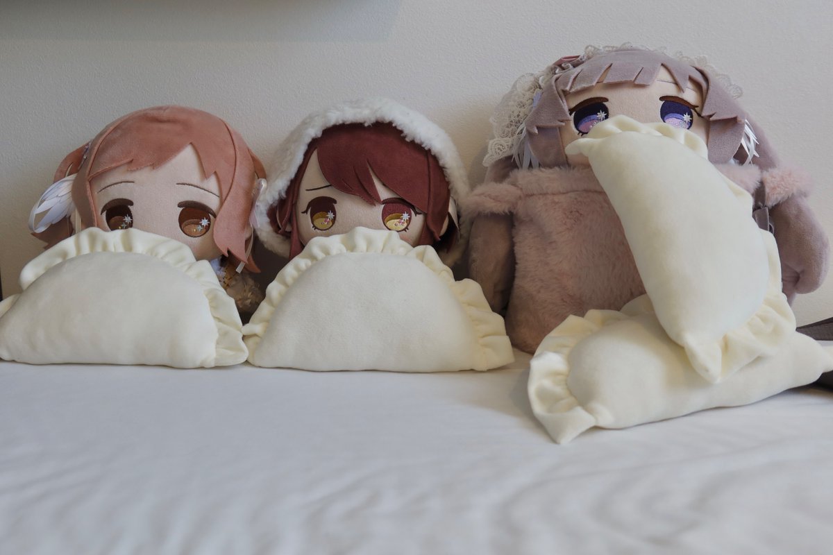 torino_sc's tweet photo. 朝ギョー🥟🥟🥟
#もちほわがいっぱい見れるタグ https://t.co/d2GQpH1SzF