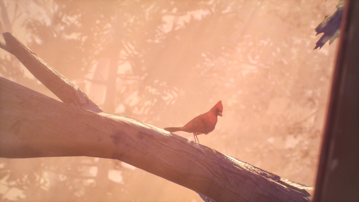OrlickEnt's tweet photo. Single Game Set

#VirtualPhotography I #OrlickEnt

Community Tags:

#VPGamers I #TheCapturedCollective
#UVPCommunity I #ThePhotoMode
#Picashot
@DONTNOD_Ent https://t.co/ZOs3u4JOgd