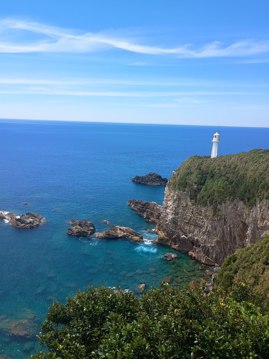 tequila4649's tweet photo. 本日は高知旅楽しみます😊 https://t.co/rXFjE9bNx8