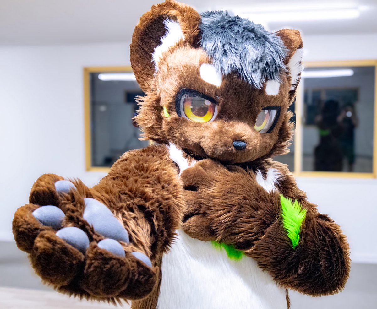 Fuuto_kuma's tweet photo. 初めまして！！
OFFF2026でデビューします！
ツキノワグマの楓登(ふうと)です！！
いっぱい可愛がってください！！
#OFFF2026 https://t.co/hIoEmHKL2J