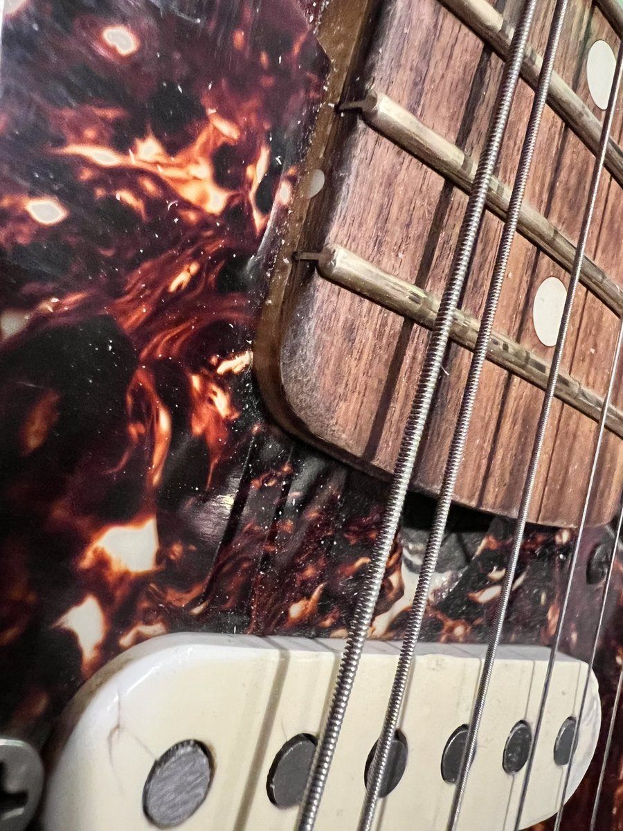 TomoJustFunky's tweet photo. Please someone help me!! I just can’t stop playing!! I love @BadCatAmps Cub 15💚🩵❤️💛🩷 1992 Fender Stevie Ray Vaughan Strat with @einunikohada666 Funkmaster pickups! @PICKBOY1967 1.00mm Celluloid pick 🩵❤️💛🩷💚
#badcatamps #cub15 #badcatcub15 #grinningdogpickup #pickboypicks https://t.co/htpccvvr2X