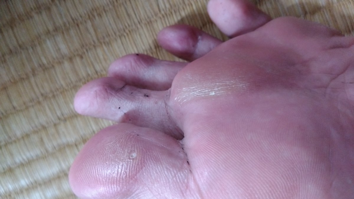 Xo4n3's tweet photo. 今日も作業靴でガッツリ蒸された👣カスは少なめだけど、匂いはしっかり熟成されてるw
​#男の足裏 #足裏 #素足 #蒸れ足 #扁平足 #ゲイ #GayFeet #MaleFeet https://t.co/hMRRHNDXXB