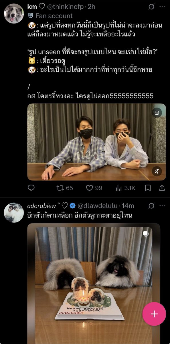 apcym_'s tweet photo. แล้วทวีตเค้าอยุ่ต่อกัน อะไรอ่ะ ช่าบี้ไลฟ์แอคชั่นหน๋อ 5555555555 นะระมาก https://t.co/MBd8W0Mg7O