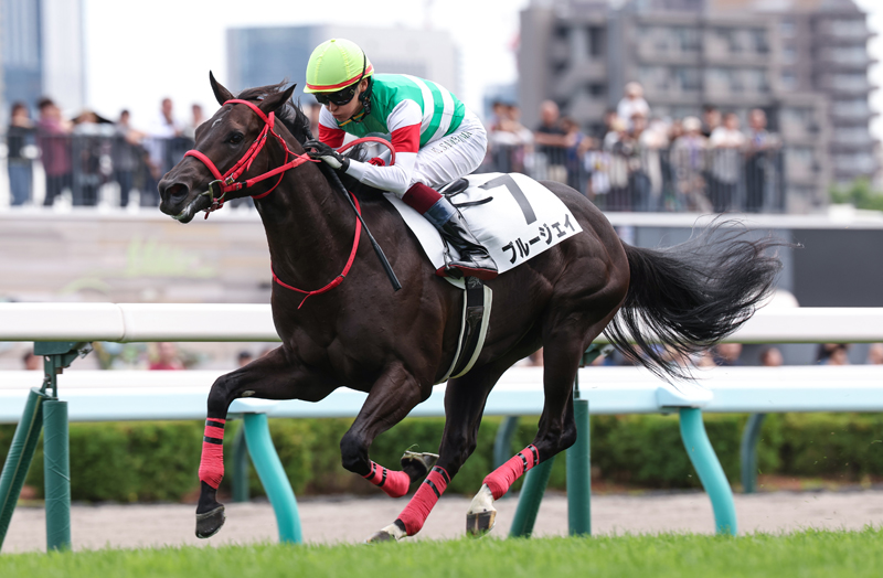 gallop_keiba tweet picture