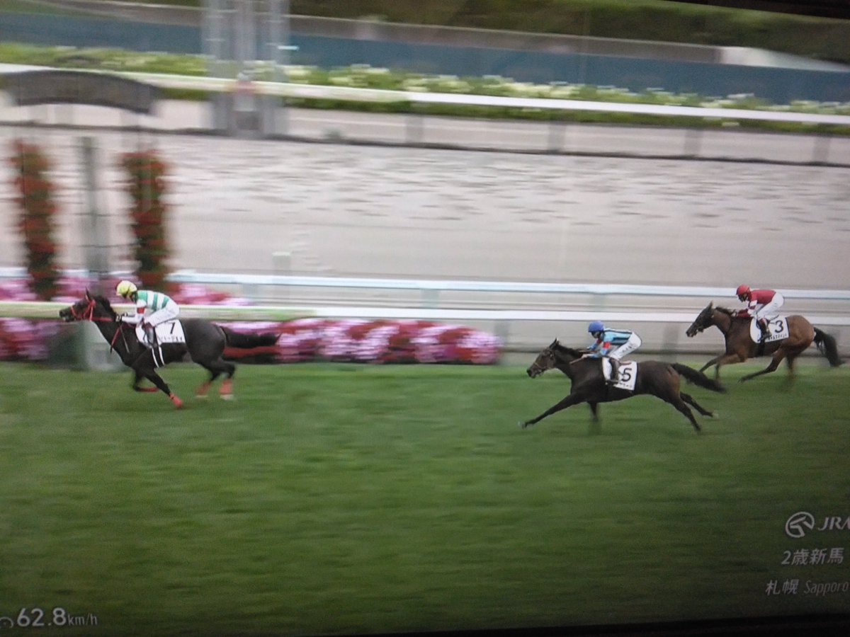 SARAMIMAN's tweet photo. お馬新馬勝ちだよ、うれしいよ・・・('A`；) https://t.co/bH9K8MWn2A