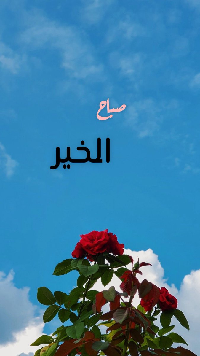 salem__103's tweet photo. https://t.co/XIQs4tJsak