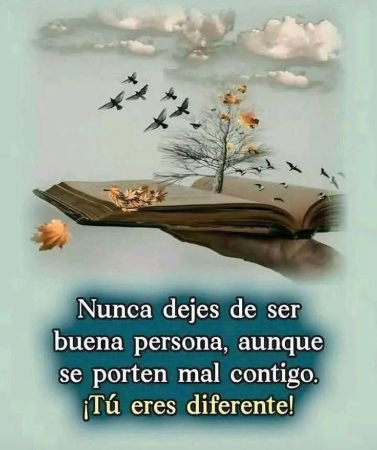 fciaespiritual's tweet photo. https://t.co/niLC0x3A2F