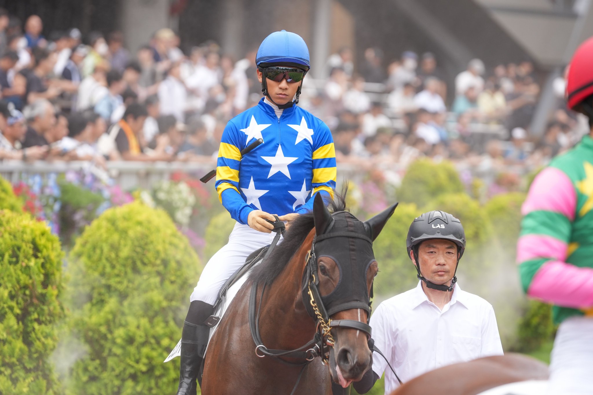 競馬の極み ぼん🍥 on X: 
