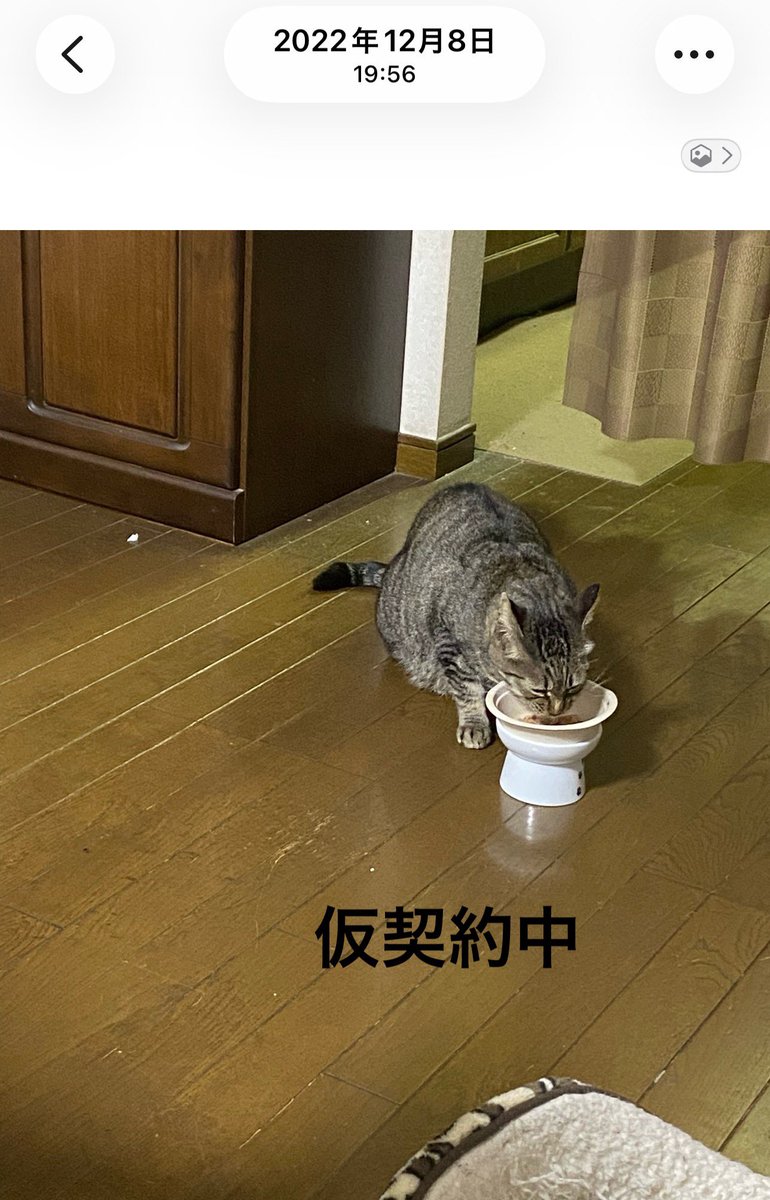 EMYSWORKS's tweet photo. 本契約に至るまでの
撮影日付を見ていただきたい。
早過ぎる！(笑) https://t.co/UCSQFPPLXh