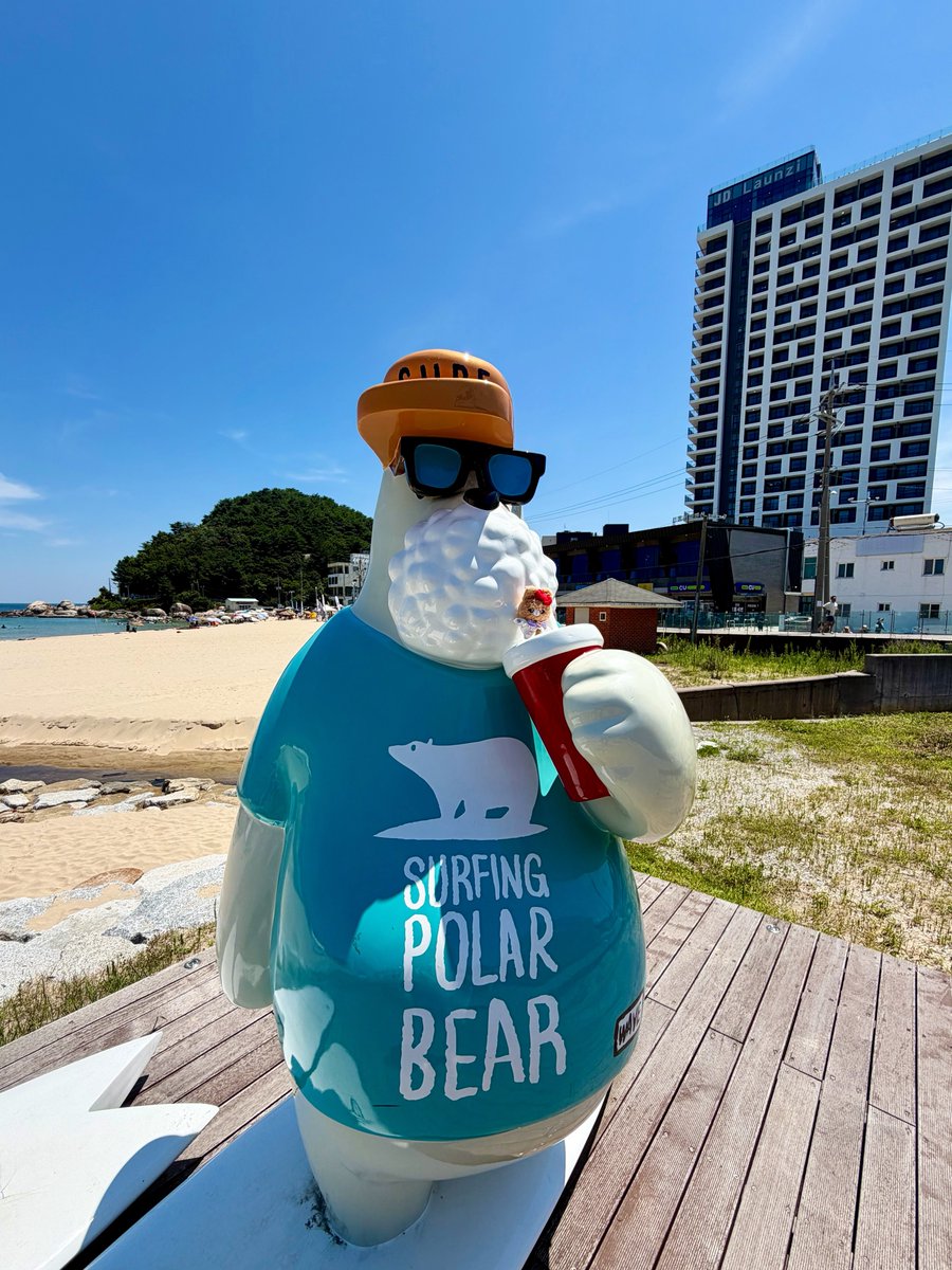 bbongsong47's tweet photo. 작고 소중한 죽도 해변의 토섭 공주님🌊☀️✨🏄🏻

#보들보들_끼앤끼 https://t.co/zWGUpCKuwA