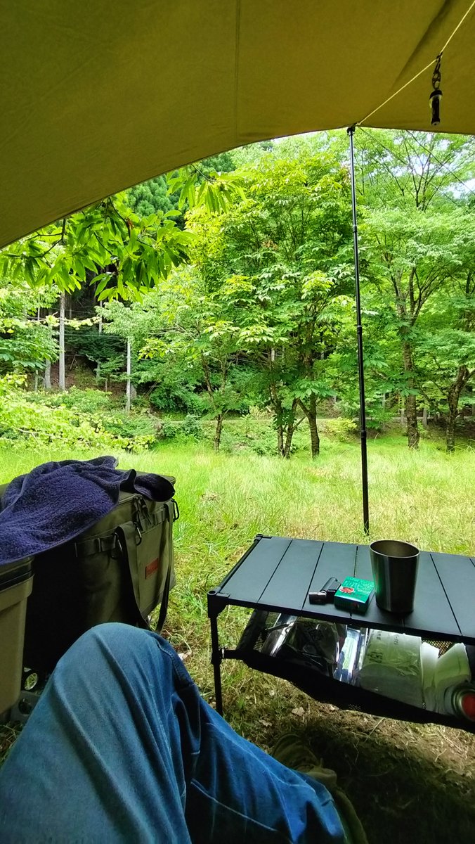 nasubi628's tweet photo. 年間契約で借りてる場所だから毎回同じ風景だけど今日ものんびりやっております。ん？暑いよ？
#ソロキャン 
#秘密基地 https://t.co/iLvPbxrmKD