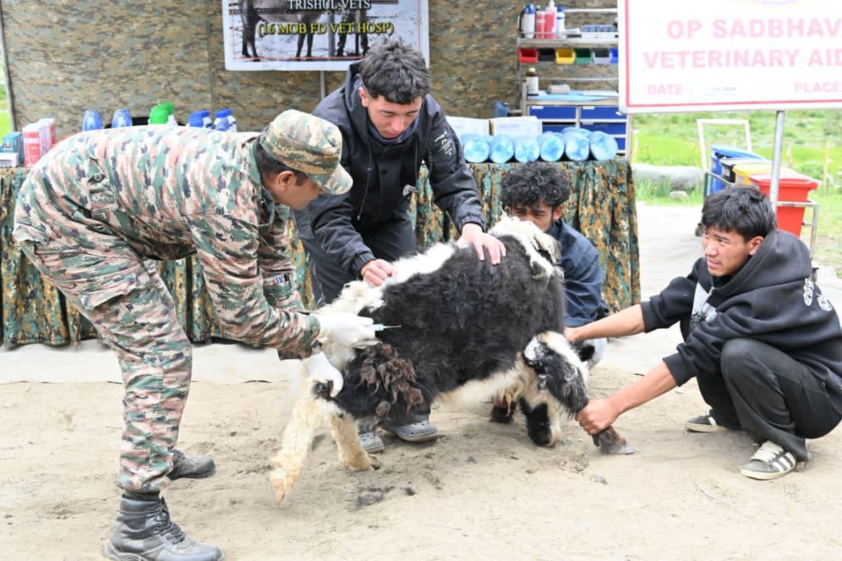 firefurycorps's tweet photo. On 31 Jul 2026, a Veterinary Aid Camp was organised under Operation SADBHAVANA at Pachathang Village under the aegis of #SiachenBrigade . Veterinary specialists conducted health check-ups, deworming and treatment for livestock, while creating awareness on animal healthcare and disease prevention, reinforcing livelihoods and community well-being in the region.

#OperationSADBHAVANA
#Siachen
#OperationMeghdoot
#FireAndFuryCorps
#IndianArmy
#FrozenFrontier
#NationFirst

@adgpi
@NorthernComd_IA
@DefenceMinIndia
@ANI