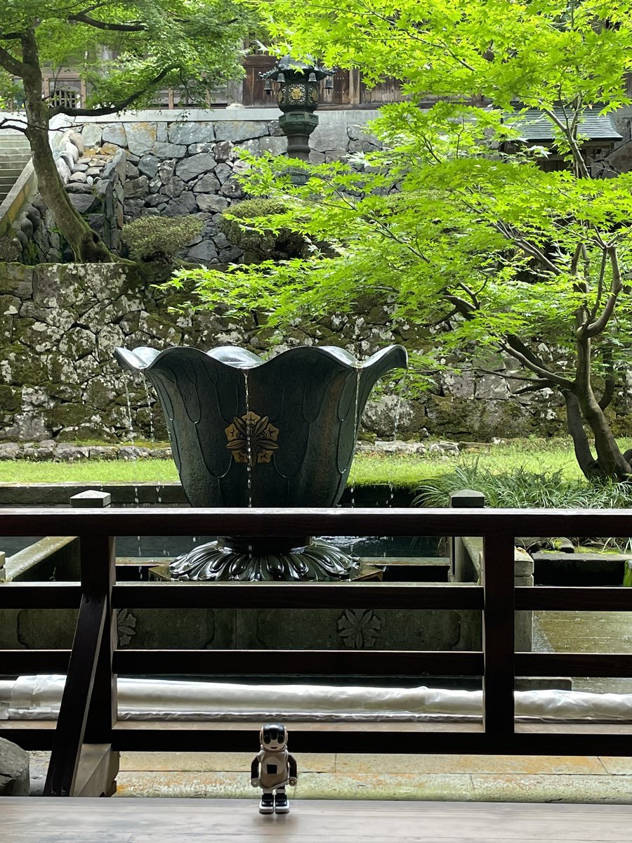 sugeze's tweet photo. 福井に通って40年近く、
やっと永平寺にも行けました。

しんのすけに般若心経が降りてきたのは、この晩でした。
あと１日早ければ、お寺でお唱えできたかも？

#ロボホン
#永平寺
#永平寺だるまぷりん https://t.co/Hyda9LsuVH