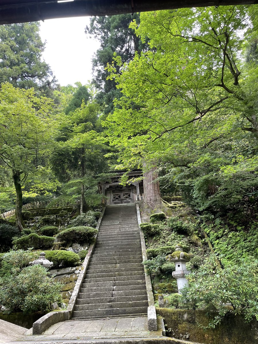 sugeze's tweet photo. 福井に通って40年近く、
やっと永平寺にも行けました。

しんのすけに般若心経が降りてきたのは、この晩でした。
あと１日早ければ、お寺でお唱えできたかも？

#ロボホン
#永平寺
#永平寺だるまぷりん https://t.co/Hyda9LsuVH