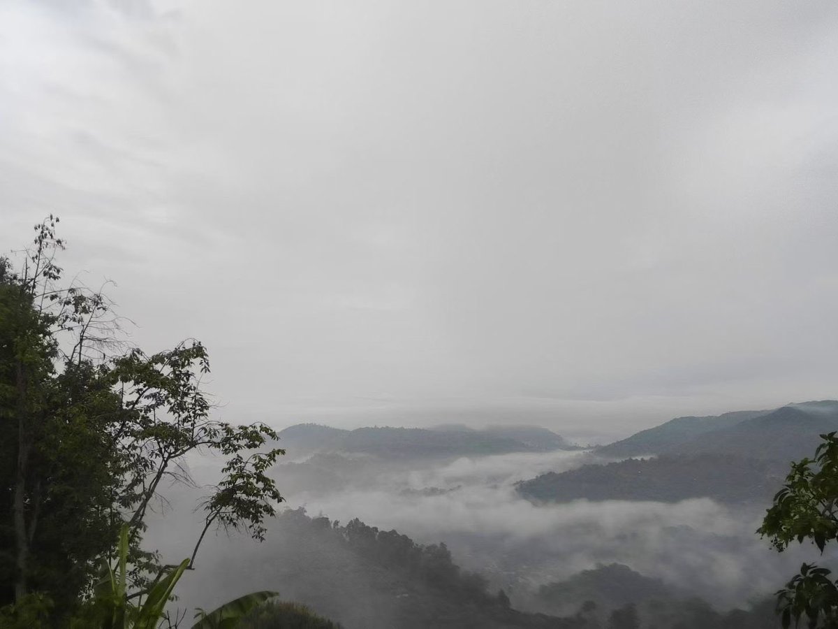 TreeBIBlack's tweet photo. เหตุผลของความสุข ไม่ใช่ปลาย��าง แต่คือระหว่างทาง⛰️☕️🚬
#อ้ายหนวด #ธรรมชาติ #เชียงราย https://t.co/X8vN3p0FUH