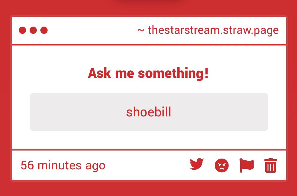 meowingnoises_'s tweet photo. Thank you for these inspiring words 

on the topic I have genuinely developed an interest in shoebills because of shoebilly and did you know they prefer to be alone lmao that might be an inspirstion for Shoebilly's personality ^_^ https://t.co/NrKT4cxLpt