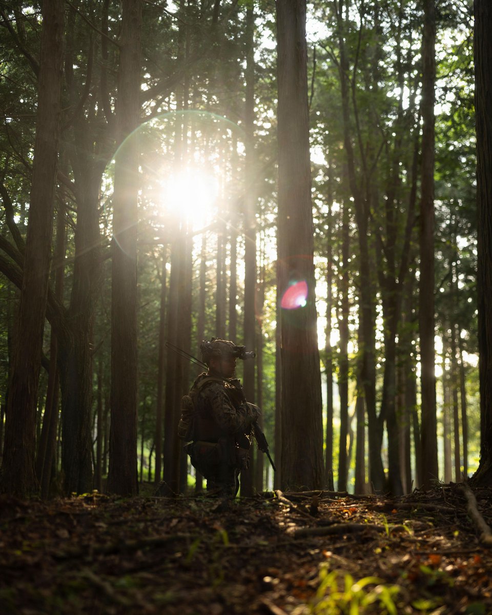 IIIMEF_JP's tweet photo. 2026年7月16日、第3海兵師団が、キャンプ富士総合戦闘射撃場で対抗部隊を想定した襲撃訓練を実施しました。@3d_Marine_Div https://t.co/zhEpFNwixh
