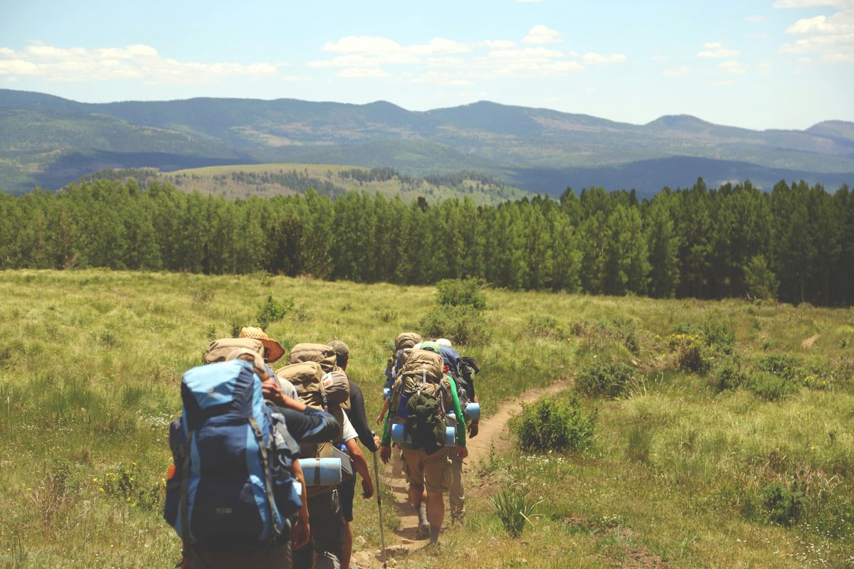 IslamuddinWard1's tweet photo. Hiking is one of the simplest ways to stay active while exploring new places. Start with easy trails, wear supportive shoes, and enjoy the journey at your own pace. ๐ฒ #TrailLife #HikingTips #GetOutside https://t.co/sXuv6Jz236