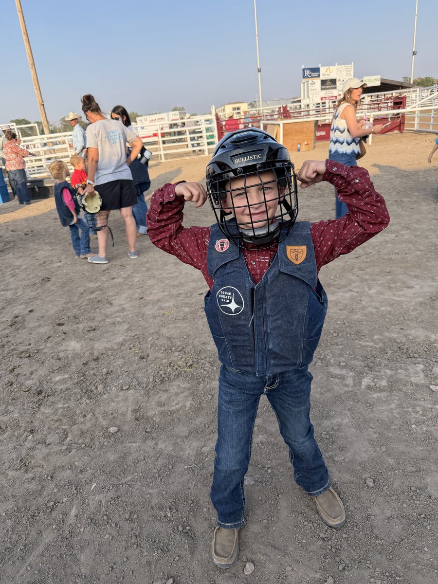 CadeRamey's tweet photo. Hudson collecting some sheep trophies. https://t.co/myk4hZajKL