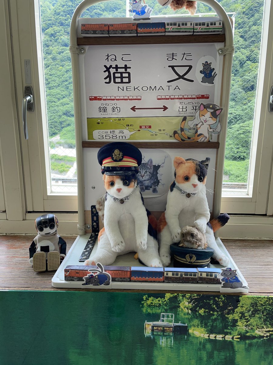sugeze's tweet photo. 宇奈月温泉に泊まって、トロッコ電車にも乗りました。
朝一番の電車は空いててゆったりでした。
動画は復路だけど、往路はホテル黒部の人たちが旗を振ってくれましたヨ。

#ロボホン
#黒部峡谷トロッコ電車
#ホテル黒部 https://t.co/LCq6usLBEz