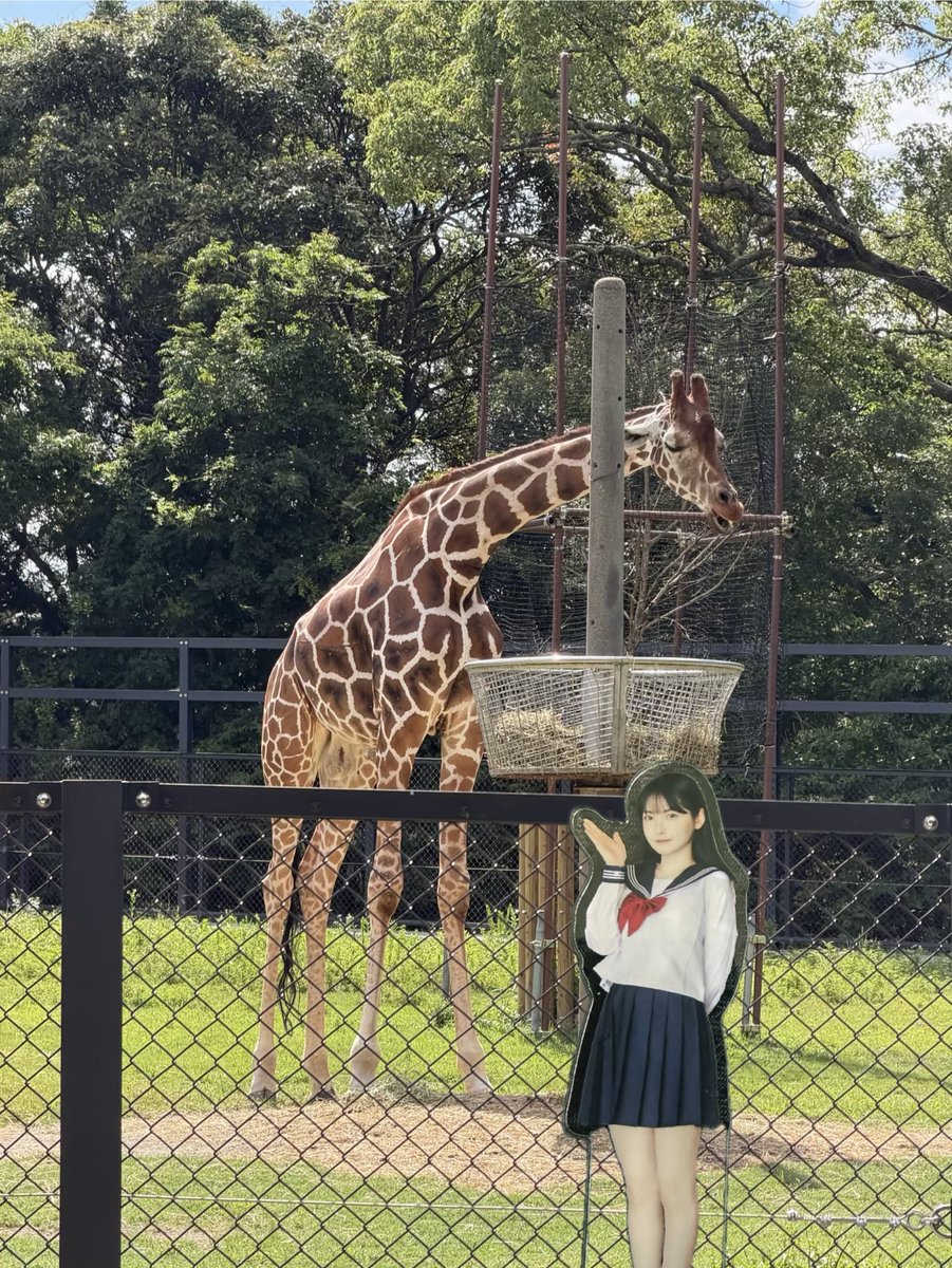 SoiBeans5's tweet photo. 動物園&amp;フラワーパーク
楽しい〜！ https://t.co/NCsxTkVZw5