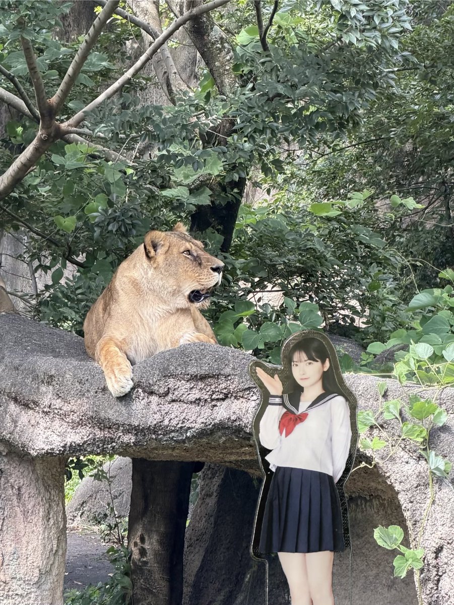 SoiBeans5's tweet photo. 動物園&amp;フラワーパーク
楽しい〜！ https://t.co/NCsxTkVZw5