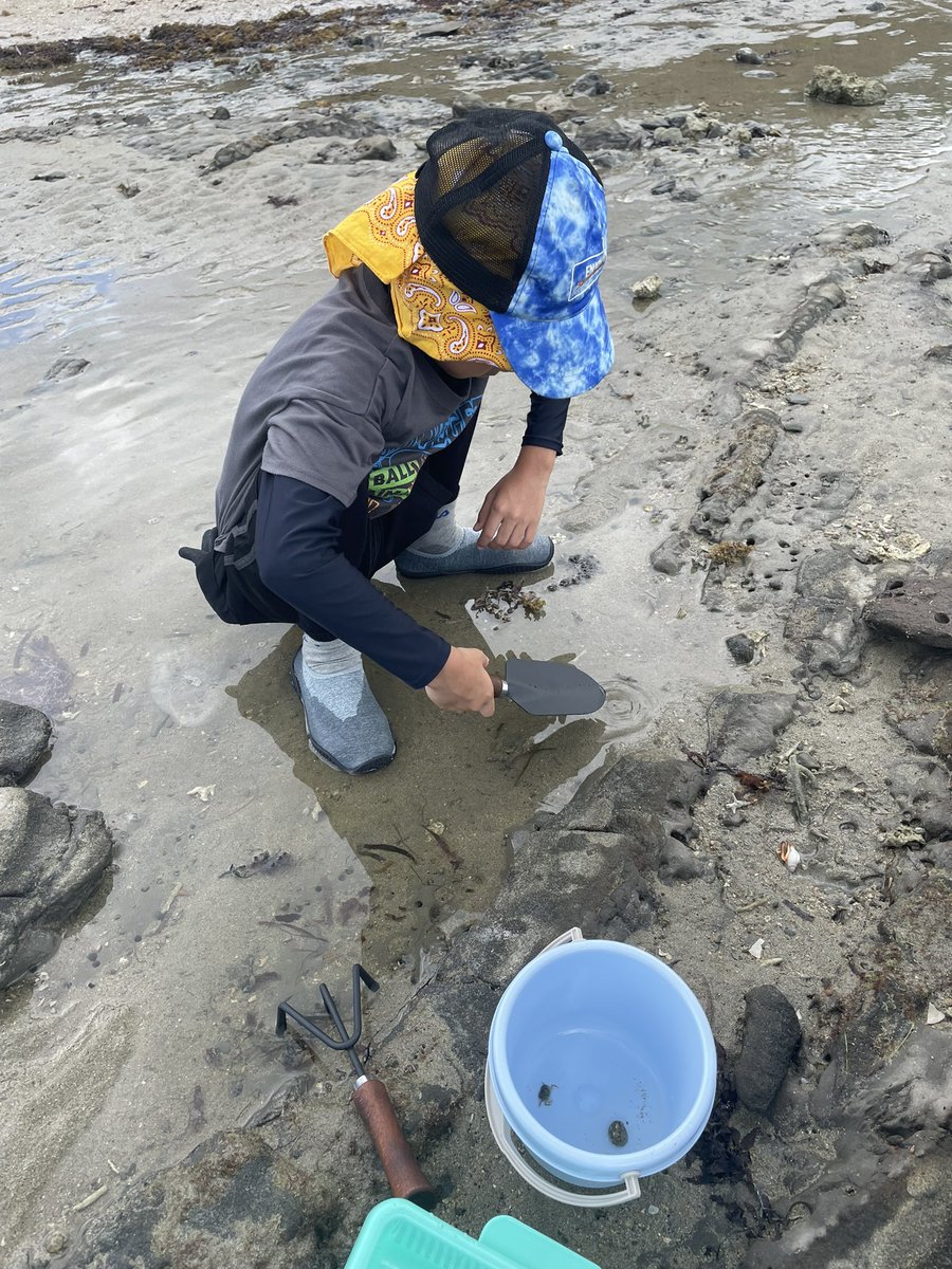 giru_msy's tweet photo. 息子と潮干狩り
カニ捕まえた🦀 https://t.co/mMJPOnvWxi