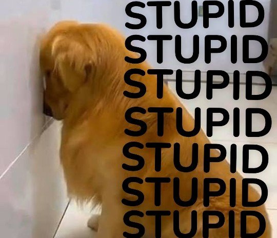 DogSheepThing's tweet photo. :3 https://t.co/aGtZrKjZIG