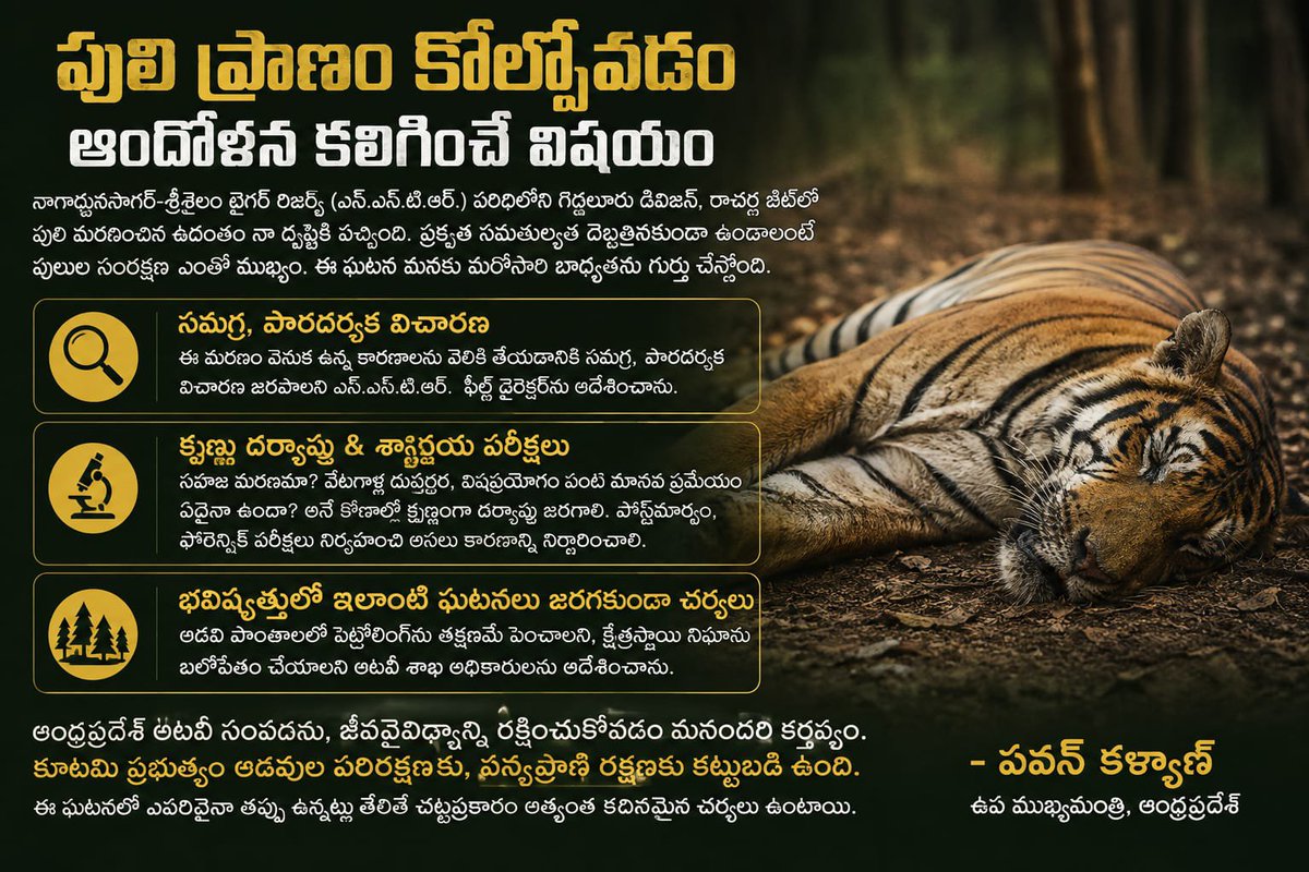 abhikancherla's tweet photo. ఎన్ఎస్టీఆర్లో పులి మరణ ఘటనపై రాష్ట్ర ఉప ముఖ్యమంత్రి శ్రీ @PawanKalyan గారు సమగ్ర, పారదర్శక విచారణకు ఆదేశించారు. వన్యప్రాణుల రక్షణలో నిర్లక్ష్యానికి తావులేదని, బాధ్యులపై కఠిన చర్యలు తీసుకుంటామని స్పష్టం చేశారు.
#SaveTigers #WildlifeConservation https://t.co/DecDf7OZ9o