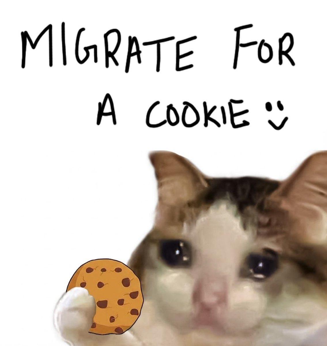 ThumbCatonSol's tweet photo. Who wants a cookie? Thumbs up 👍🏽 https://t.co/gB9perAVg5